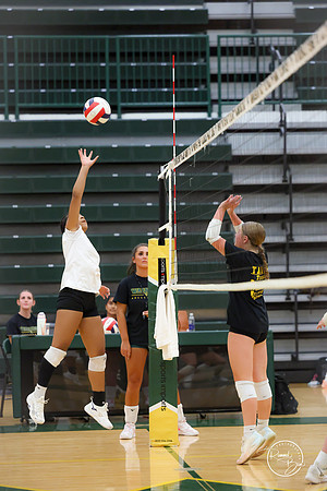 20250815 Food Truck Festival Volleyball Scrimage-2