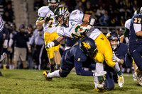 Playoffs - Round 2 - Neuqua Valley-20