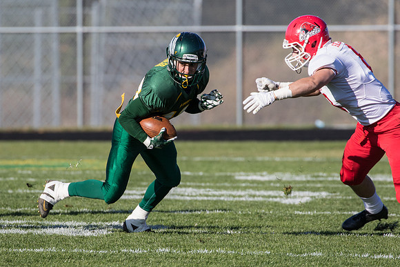 Playoffs - QuarterFinals vs Naperville Central-18