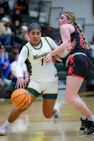 20250211 Naperville Central-99