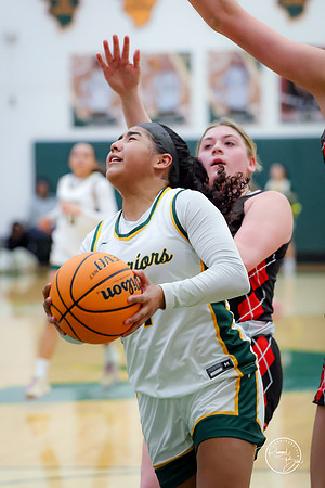 20250211 Naperville Central-42
