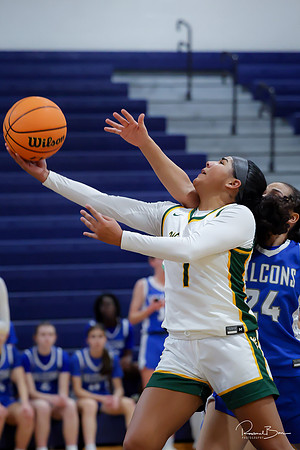 20241223 Wheaton North-14