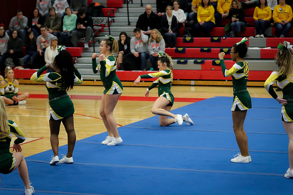 20200121 WV Cheer DVC Championships-13