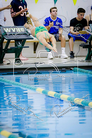 20170831 WV Girls Swim-Dive vs Oswego East-31