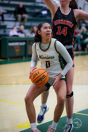 20250211 Naperville Central-26