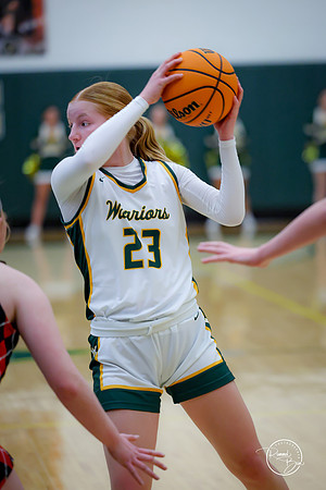20250211 Naperville Central-36