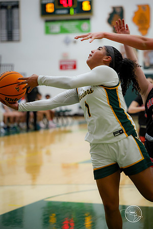 20250211 Naperville Central-46