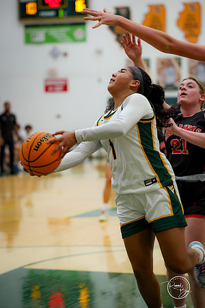 20250211 Naperville Central-44