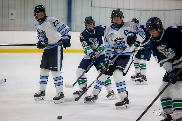 20241116 Varsity Cobra game-10