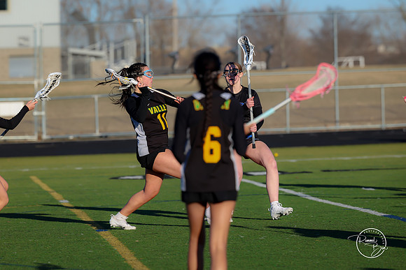 20250317 Lake Zurich JV-29