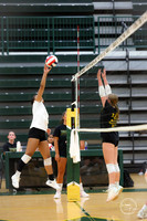 20250815 Food Truck Festival Volleyball Scrimage-3
