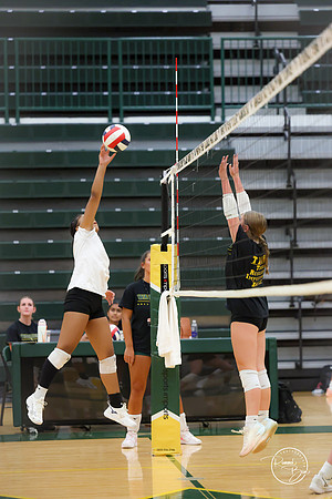 20250815 Food Truck Festival Volleyball Scrimage-3
