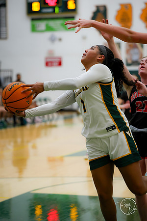 20250211 Naperville Central-45
