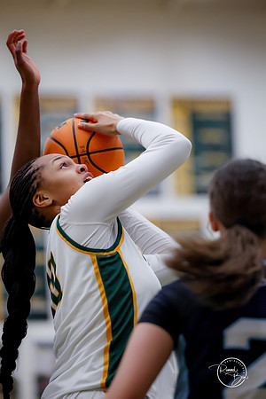 20250217 Girls Basketball Regional Semi-Finals-62