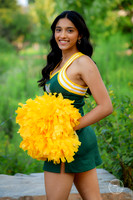 Aarya M