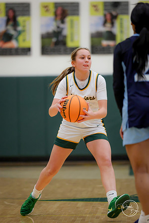20250217 Girls Basketball Regional Semi-Finals-113
