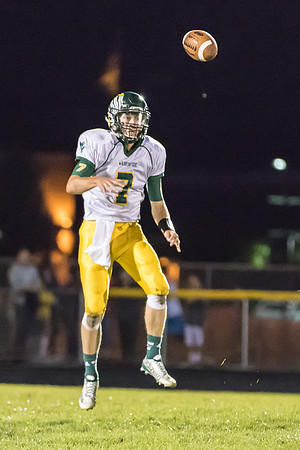 2015 Neuqua Valley Football Game-18