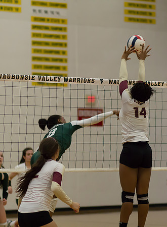 WV-GirlsVBall-6795