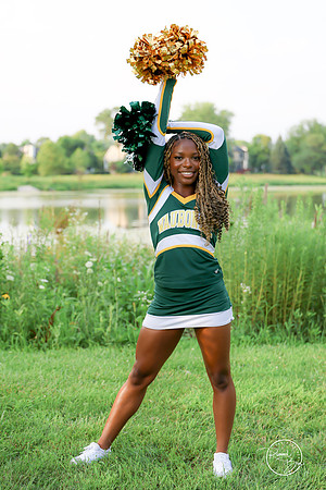 2026 Camille C-10