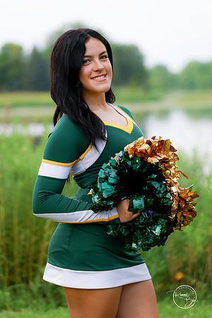 2026 Paige W-3