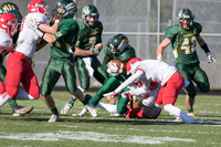 Playoffs - QuarterFinals vs Naperville Central-15