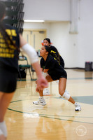 20250815 Food Truck Festival Volleyball Scrimage-9