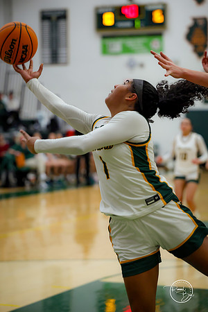 20250211 Naperville Central-48