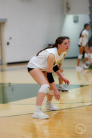20250815 Food Truck Festival Volleyball Scrimage-1