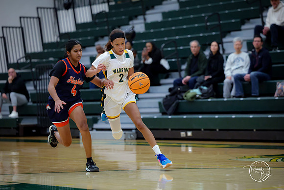 20250206 JV Naperville North-2