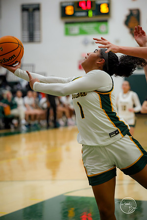 20250211 Naperville Central-47