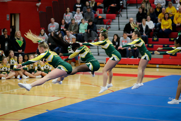 20200121 WV Cheer DVC Championships-14