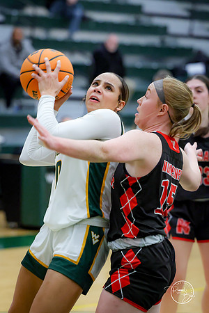 20250211 Naperville Central-30