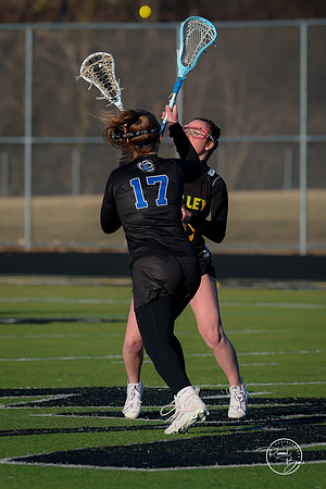 20250317 Lake Zurich JV-37