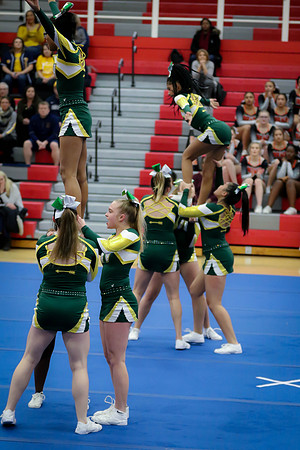 20200121 WV Cheer DVC Championships-8