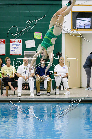 20170831 WV Girls Swim-Dive vs Oswego East-90