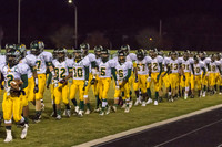 Playoffs - Round 2 - Neuqua Valley-3