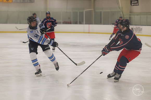 20250202 Naperville-5