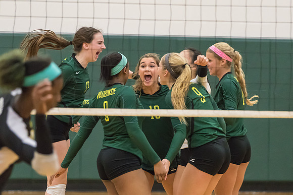 WVHS Varsity Girls Volleyball - Regionals vs Metea Valley-52
