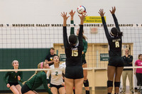 WVHS Varsity Girls Volleyball - Regionals vs Metea Valley-16