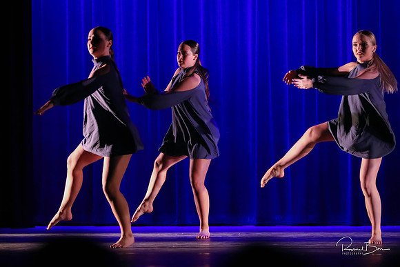 2020 WV Orchesis Showcase-335