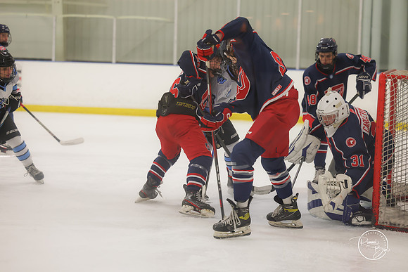 20250202 Naperville-8