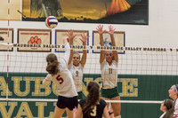 Varsity Girls Volleyball vs Hinsdale Central
