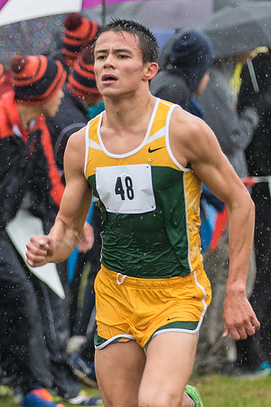 WVHS Boys Cross Country - Sectionals-16