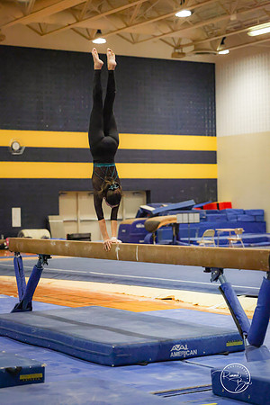 20250123 Valley Co-Op Gymnastics-120