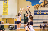 2015 WVHS Varsity Girls Volleyball vs Neuqua Valley-10