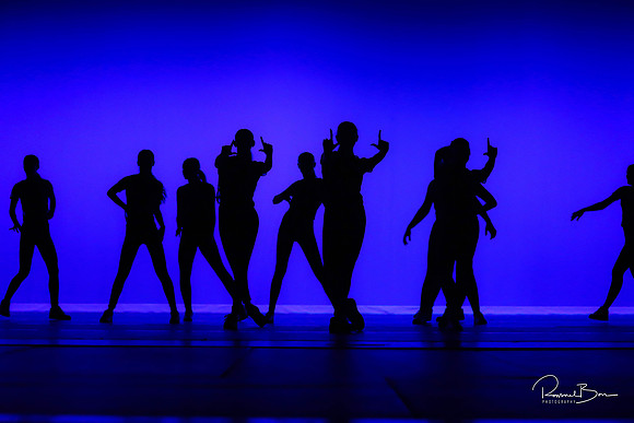 2020 WV Orchesis Showcase-395