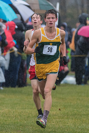 WVHS Boys Cross Country - Sectionals-20