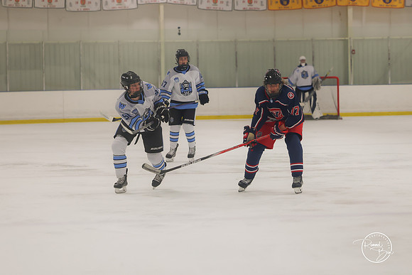 20250202 Naperville-19