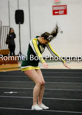 20180116 WV JV Dance Conference-47