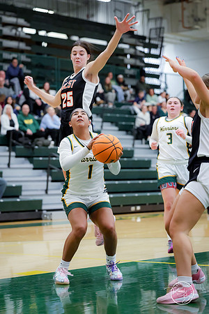20250111 Lincoln-Way West-76